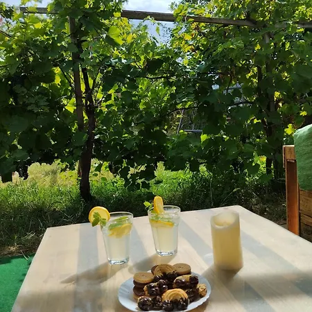 Balatoni Mandala Vendeghaz * Balatonszárszó