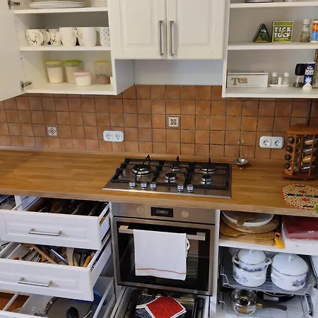 Balatoni Mandala Vendeghaz 度假居 Balatonszárszó