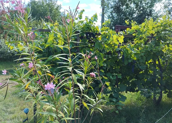 Semesterbostad Balatoni Mandala Vendeghaz Balatonszárszó